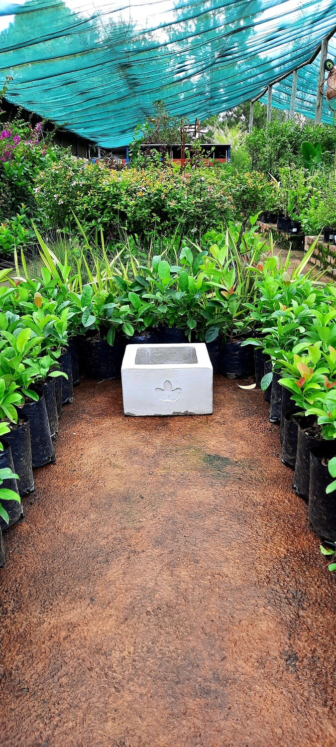 Ground Square Small Cement Pot - H250mm x W300mm