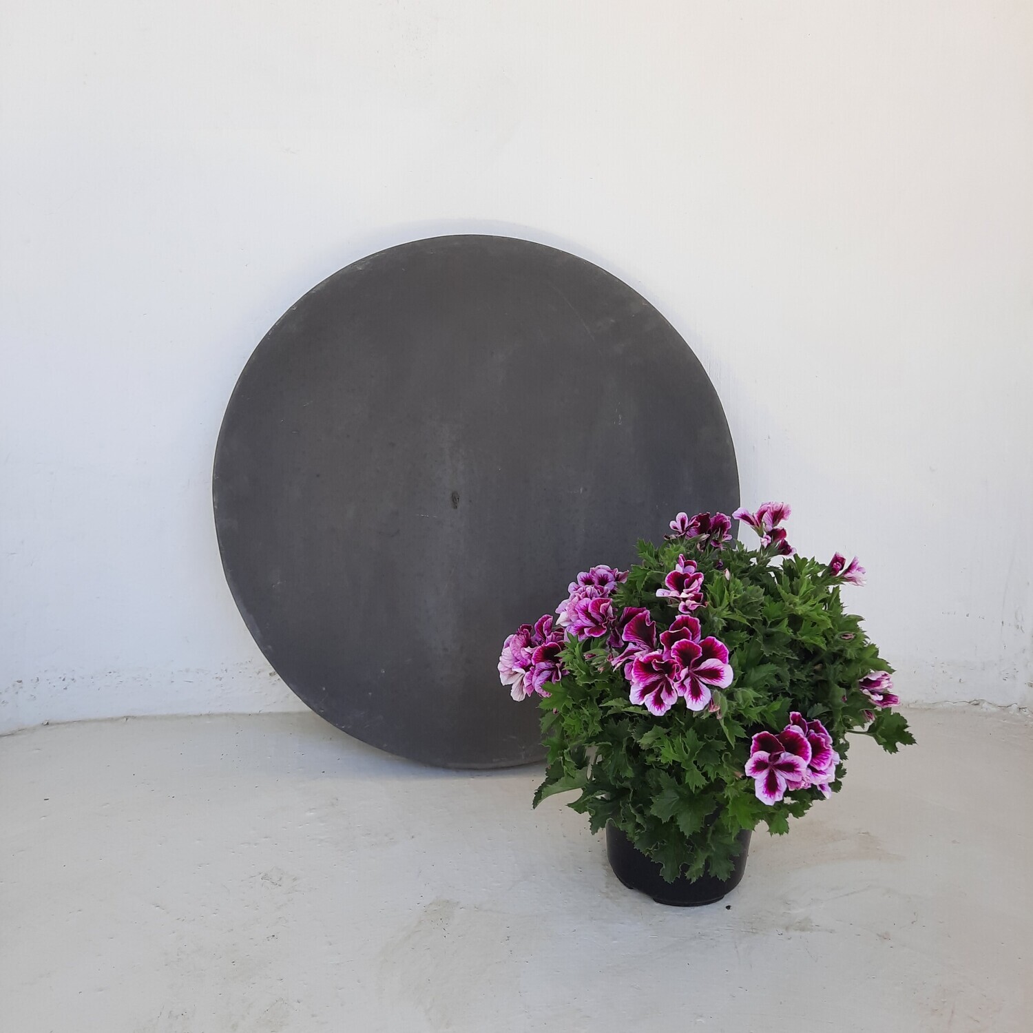 Round Stepping Stone EXTRA LARGE Black - 585x60mm - 39kg