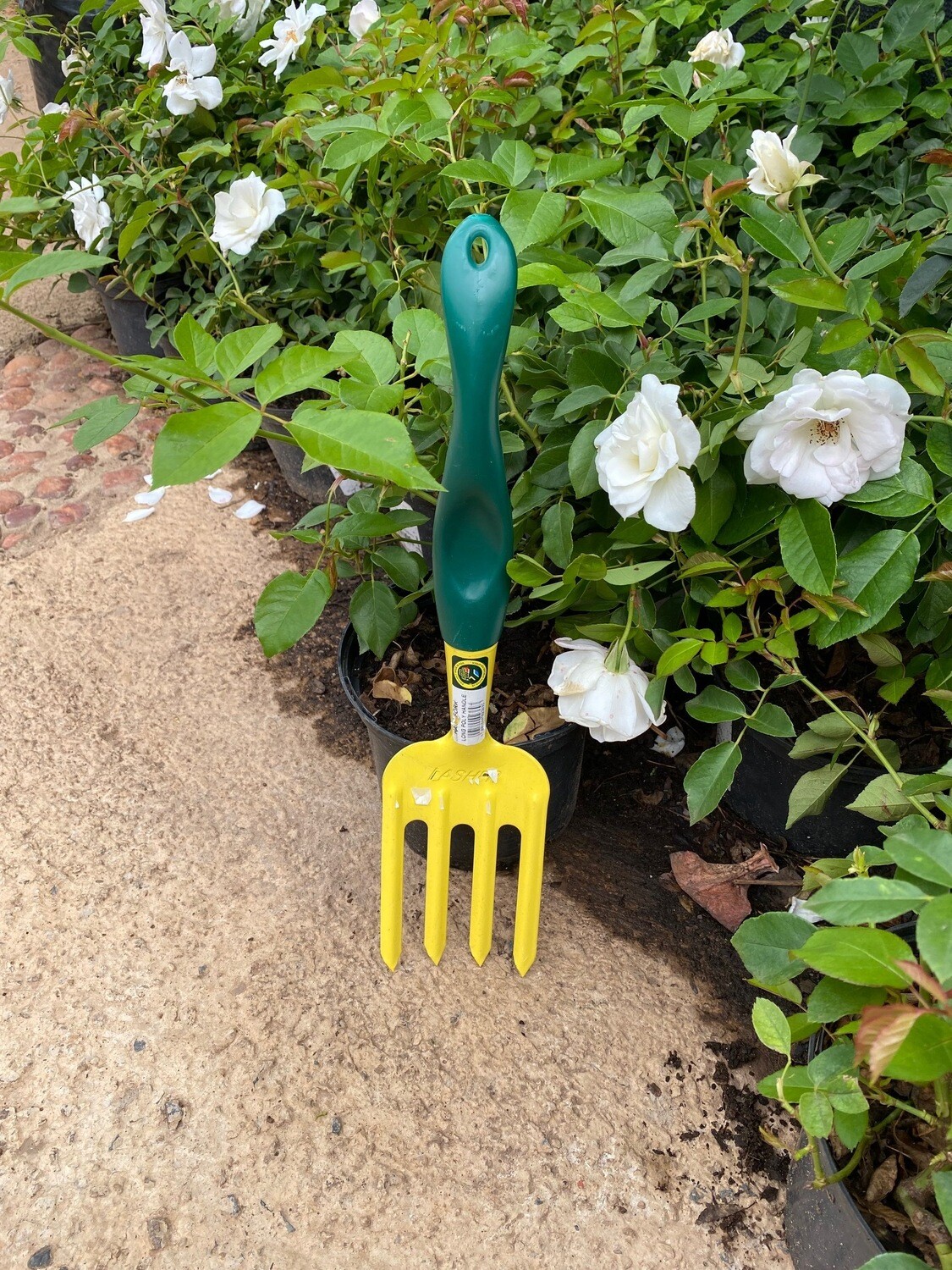 Hand Fork Long Poly Handle