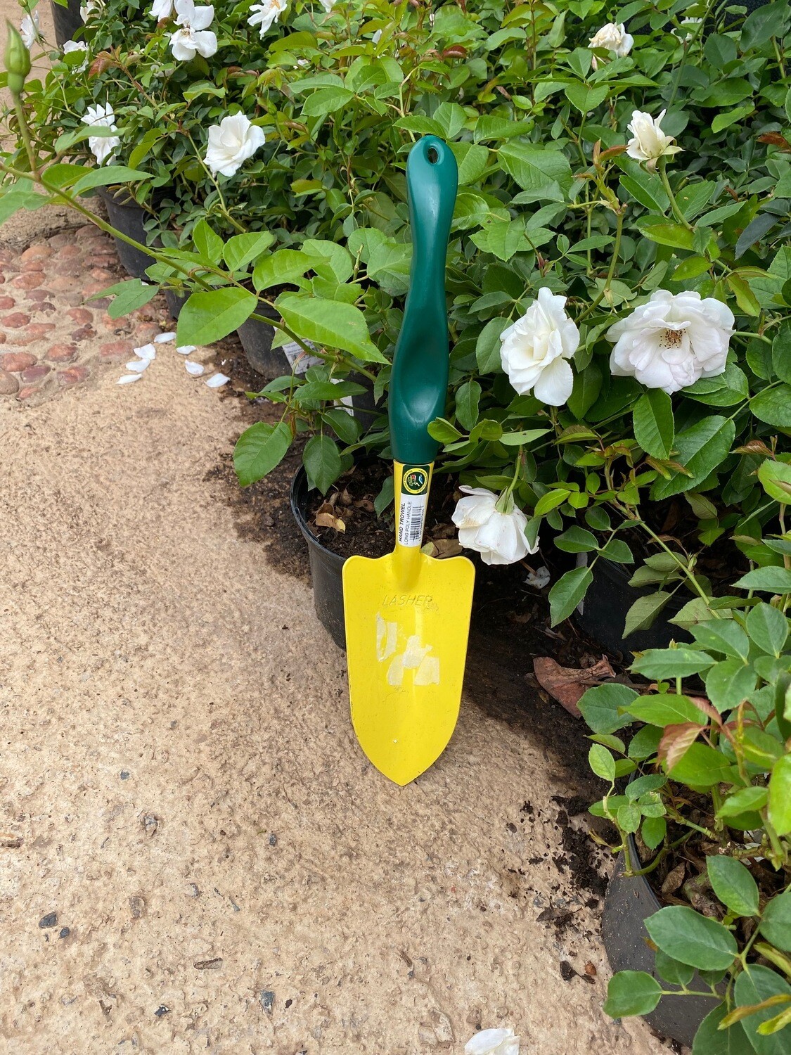 Hand Trowel Long Poly Handle