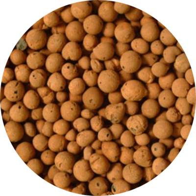 Expanded Clay Pebbles Hydroponic