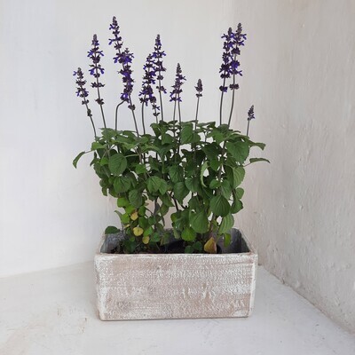 Plain Aero Flower Box Small - H200mm x L450mm x W200mm - 9kg