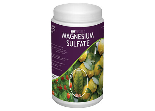 Magnesium Sulfate 1kg