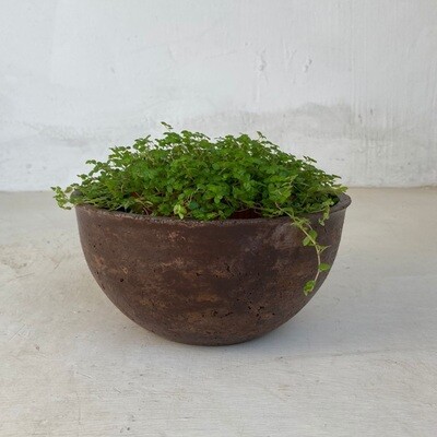 Peace Bowl 1 Small Brown Clay Finish - H110mm x W220mm - 2kg