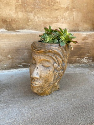 Eve Head Vase Antique Amber Finish - H230mm x W150mm - 3kg
