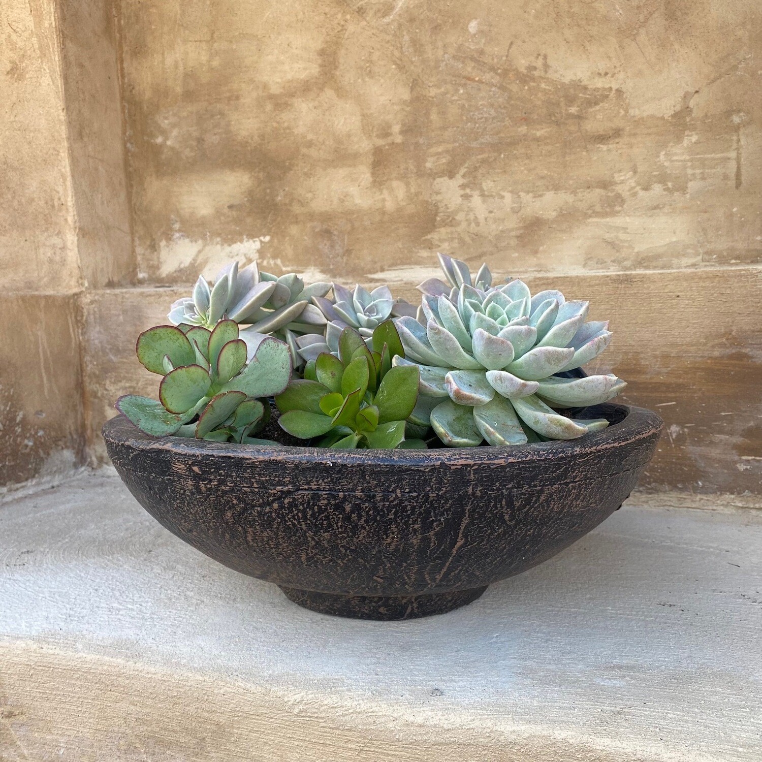 Pradia Cactus and Succulent Bowl Mecca Brown Finish - H220mm x W410mm - 8kg