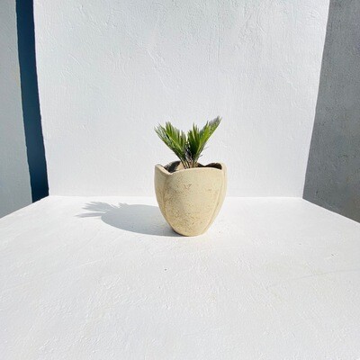 Rose Planter Small Rustic Cement Finish - H260mm - 7kg