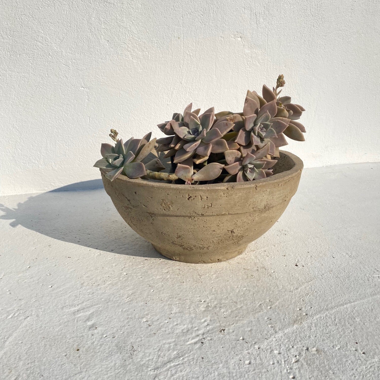 Peace Bowl 2 Large Rustic Cement Finish - H130mm x W300mm - 3kg