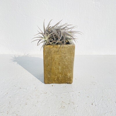 Decorative Rectangular Cacti Pot Small Rustic Antique Amber Finish - H135mm x W100mm - 1kg