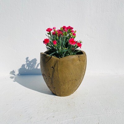 Rose Planter Small Rustic Antique Amber Finish - H260mm - 7kg