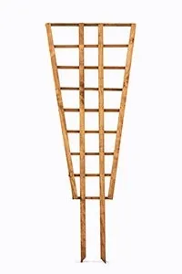 Self Staking Trellis L1500mmxW520