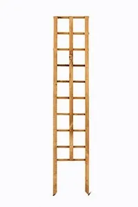 Self Staking Trellis L1500mmxW300