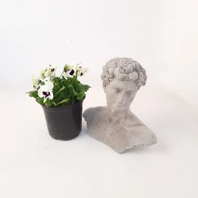 David Bust Cement Finish - H260mm x W270mm