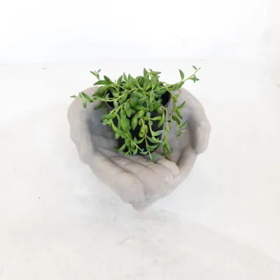 Open Two Hands Cement Finish - H150mm x W270mm
