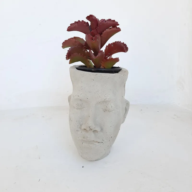 Adam Head Planter Cement Finish - H240mm x W150mm - 3kg