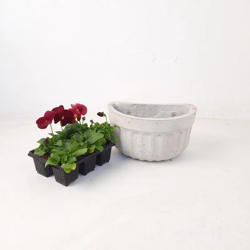 Wall Planter Medium Cement Finish - L245mm x W160mm x H135mm