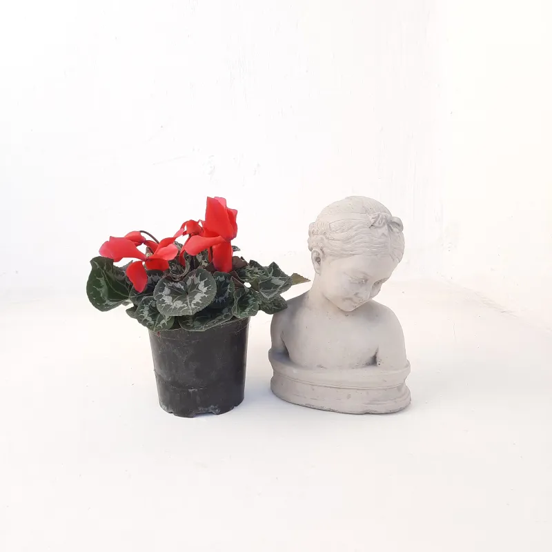 Natalie Bust Cement Finish - H250mm x W180mm