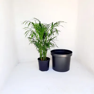 40cm Liner Black