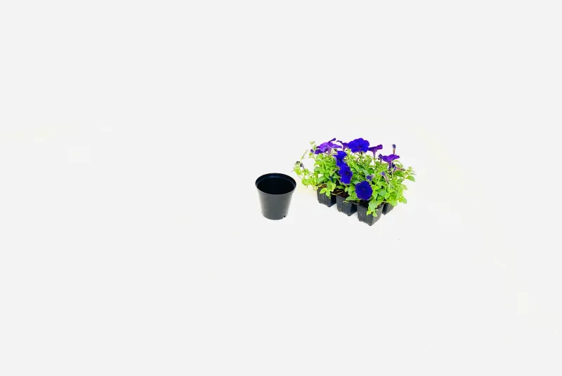 10cm Pot Black Width 10cm x Height 8,5cm