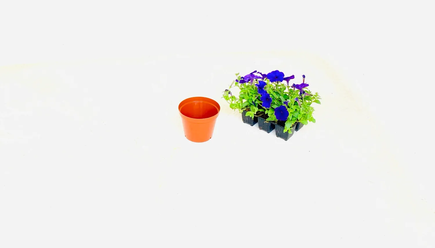 12,5cm Pot  Terracotta 12.5cm x Height 10cm