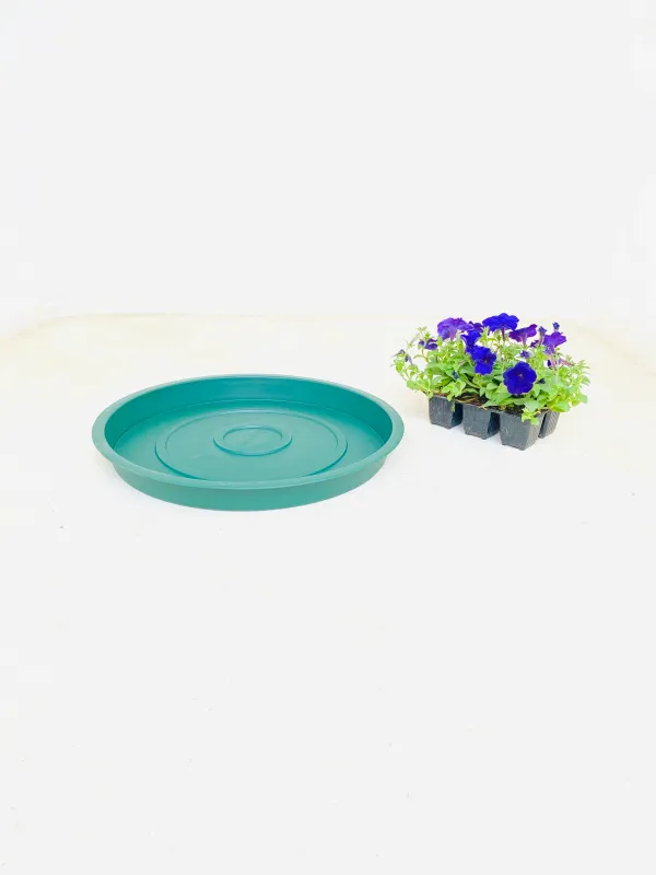 43cm Saucer green Width 43cm