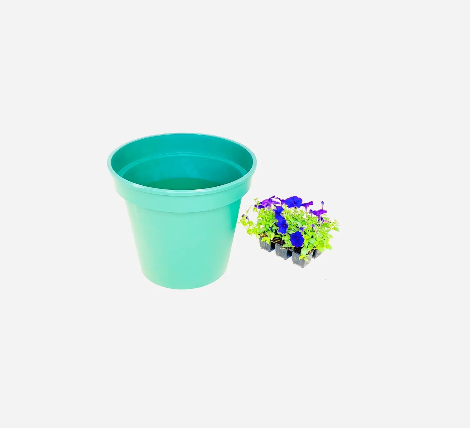 35cm Pot Green Width 35cm x Height 34cm
