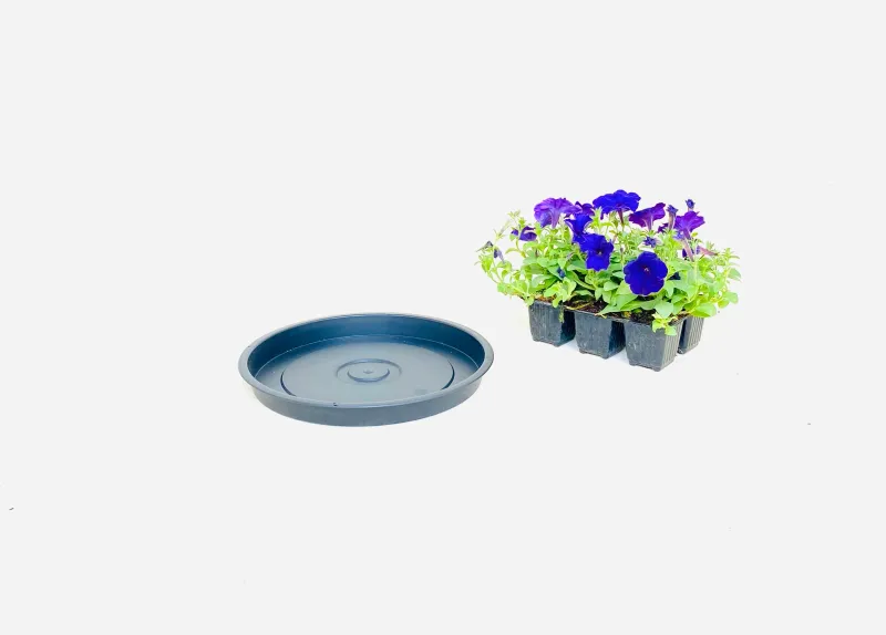 30cm Saucer Black Width 30cm