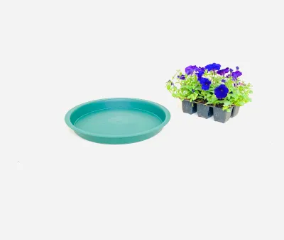 43cm Saucer green Width 43cm