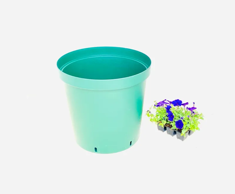 43cm Pot Green Width 43cm x Height 40cm