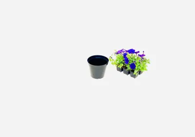 15cm Pot Black Width 15cm x Height 12,5cm