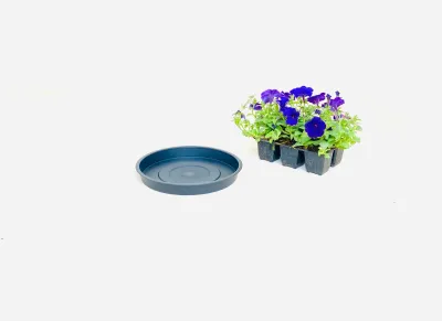 25cm Saucer Black Width 25cm