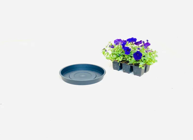 25cm Saucer Black Width 25cm