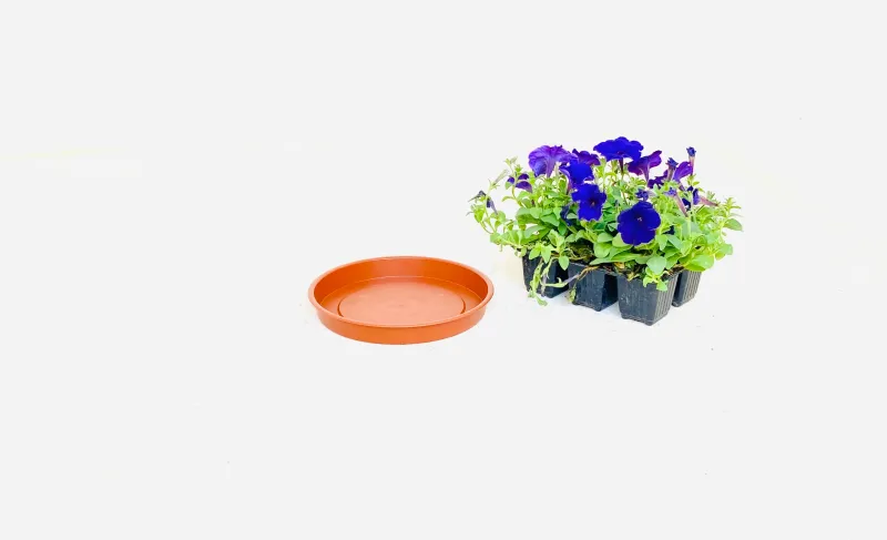 20cm Saucer Terracotta Width 20cm