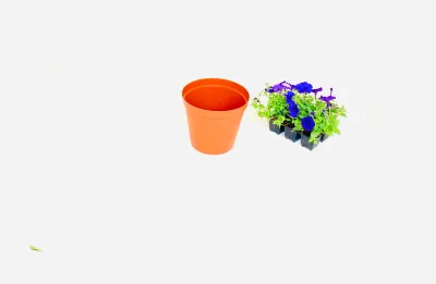 20cm Pot Terracotta Width 20cm x Height 17.5cm