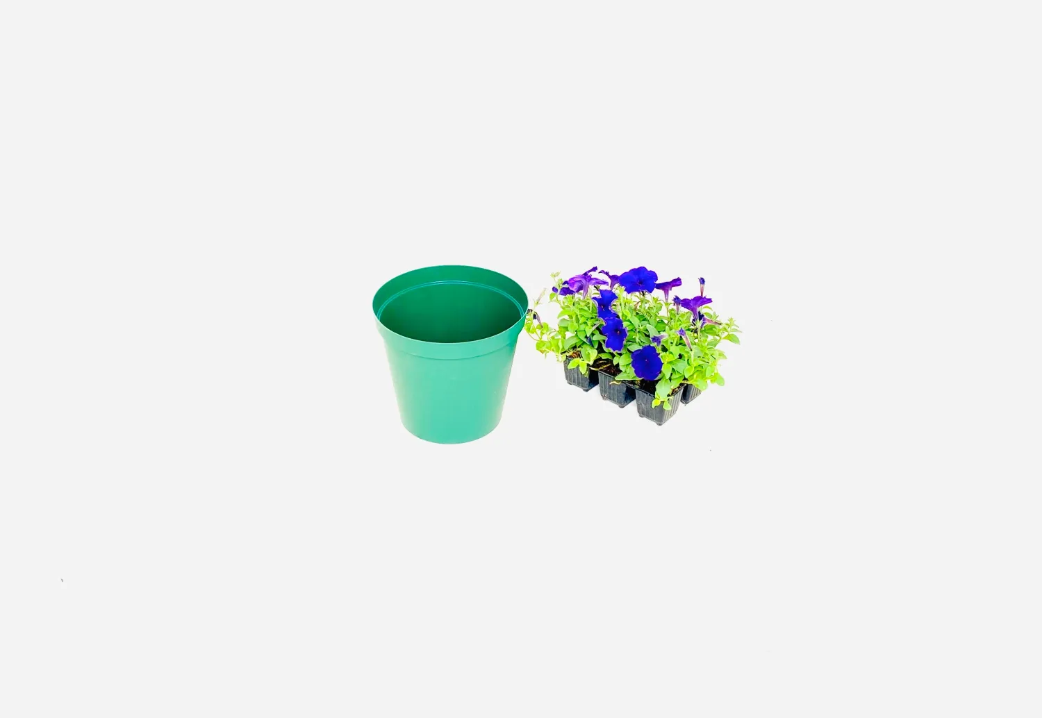 20cm Pot Green Width 20cm x Height 17.5cm