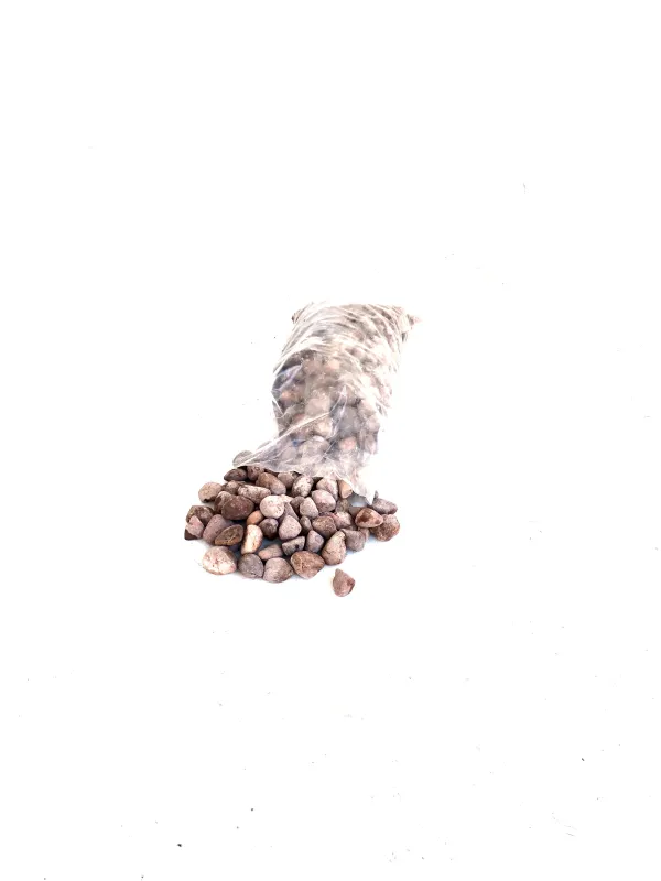 Timbavati Tumbled Small 30-40mm