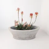 Oval Flower Box Cement Finish - H220mm x W300mm x L585mm