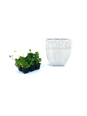 Aero Pot Small Whitewash Finish - H270mm x W240mm - 5kg