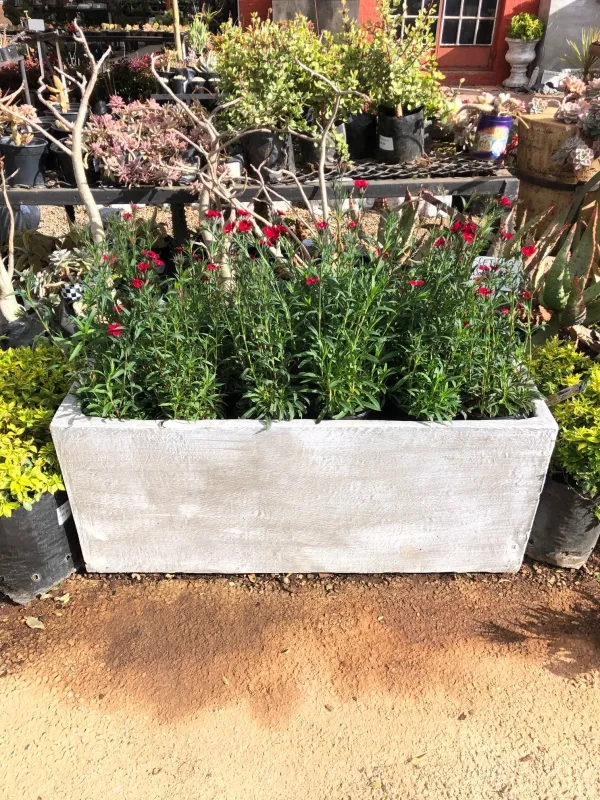 Ondela Rectangular Pot Whitewash Finish  - L1000mm x H415mm x W415mm - 45Kg