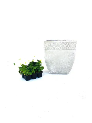 Aero Pot Medium Whitewash Finish - H350mm x W310mm - 9kg