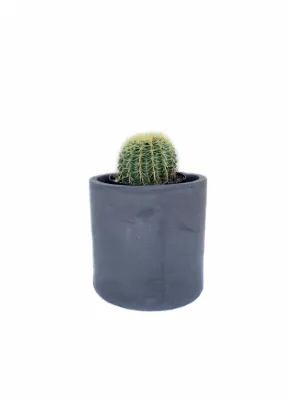 Cylinder Pot Large Black - H350mm x W370mm - 12kg