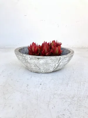 Crassula &amp; Cactus Pot Medium Whitewash Finish - H100mm x W340mm - 4kg