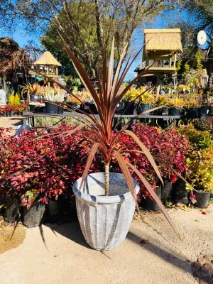 Alfred Pot Medium Whitewash Finish - H350mm x W360mm - 9Kg