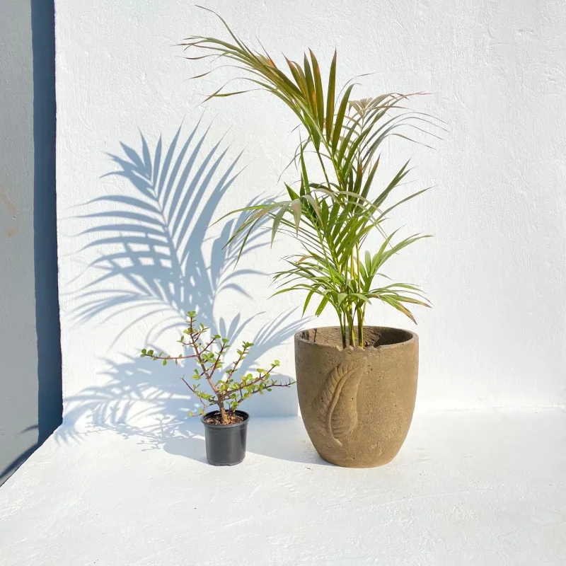 Zig Zag Leaf Pot Rustic Antique Amber Finish - H290mm x W275mm - 7.8kg