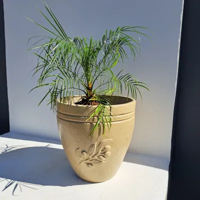 Olive Pot Large Cement Seal Finish - H460mm - 20kg