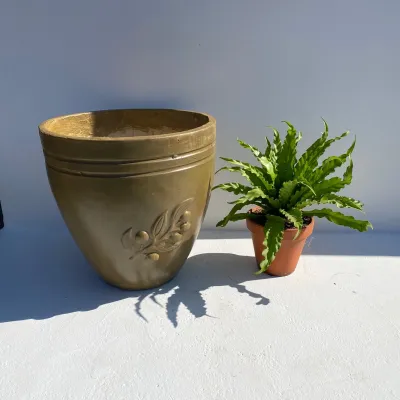 Olive Pot Large Antique Amber Finish - H460mm - 20kg