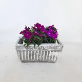 Window Pot Small Whitewash Finish - L240mm x W150mm - 4kg