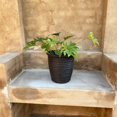Louvre Pot Medium Mecca Brown Finish - H320mm x W280mm -Mouth280mm - 8kg