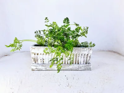 Window Pot Medium Whitewash With Drip Tray - L450mm x W150mm - 9kg
