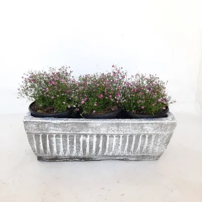 Window Pot Medium Whitewash Finish - L450mm x W150mm - 9kg